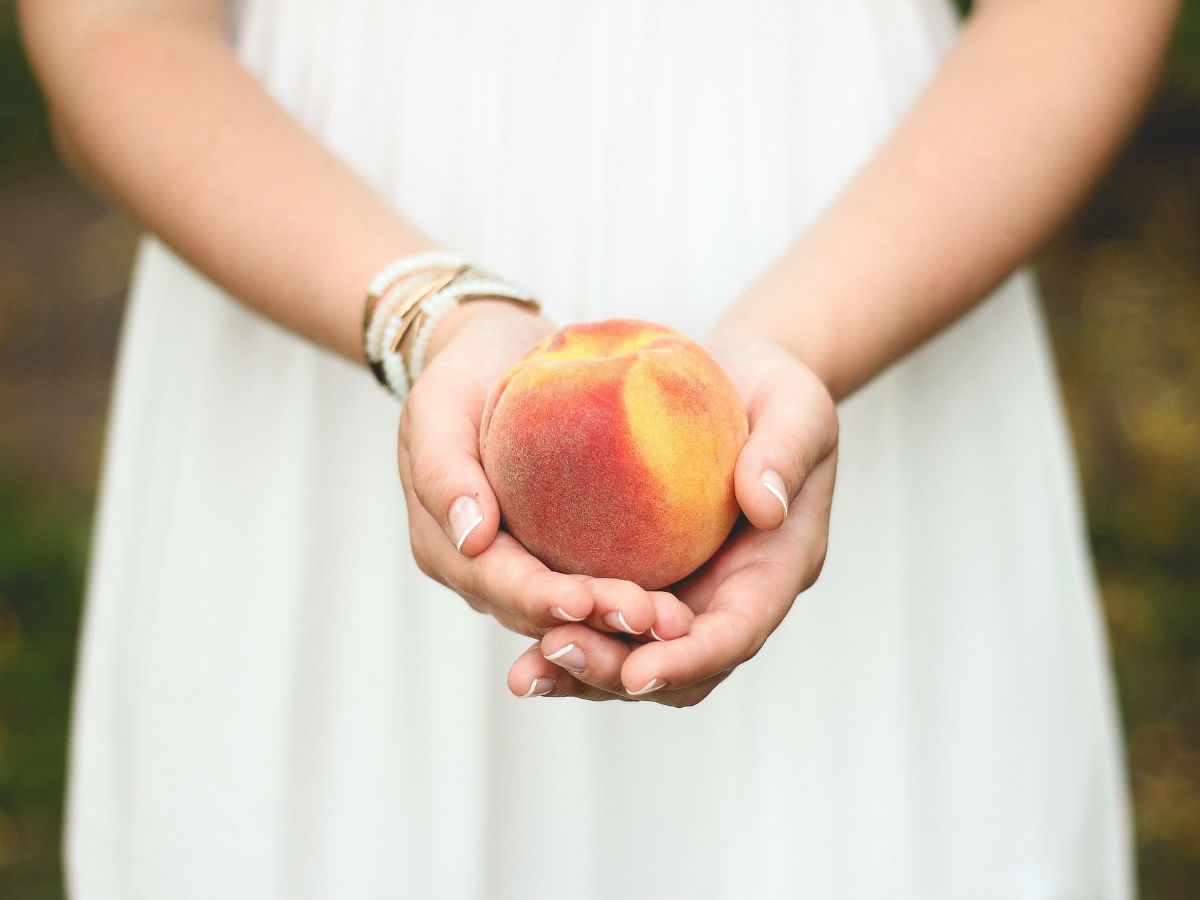 La donación de óvulos en la reproducción asistida