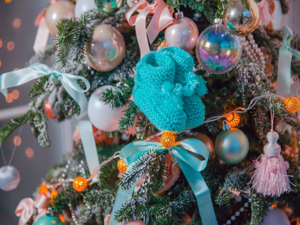 Declaración del líder del Consejo Nacional de Reproducción Asistida portugués