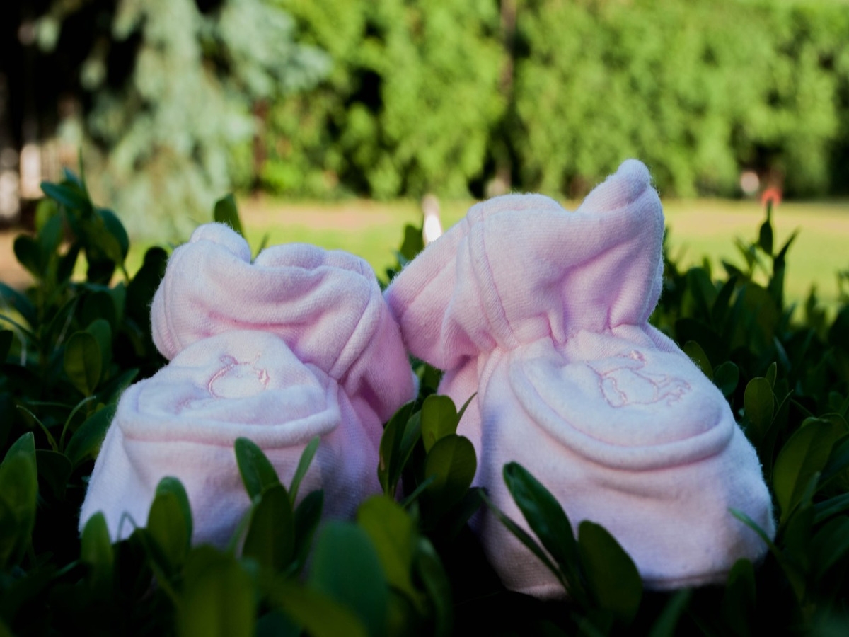 Gestación por sustitución: por qué los plazos son tan dilatados