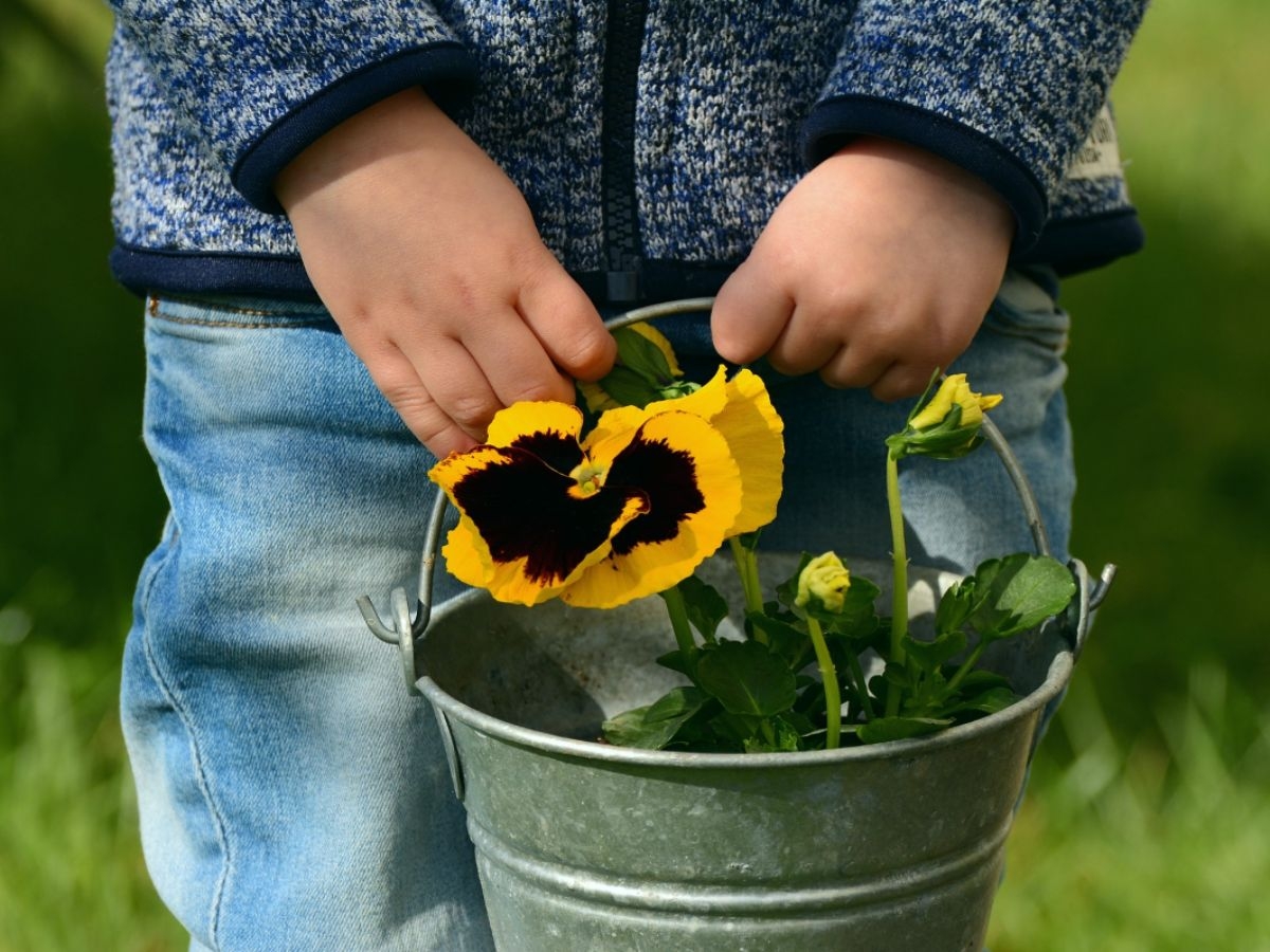 Gestación por sustitución y documentos necesarios