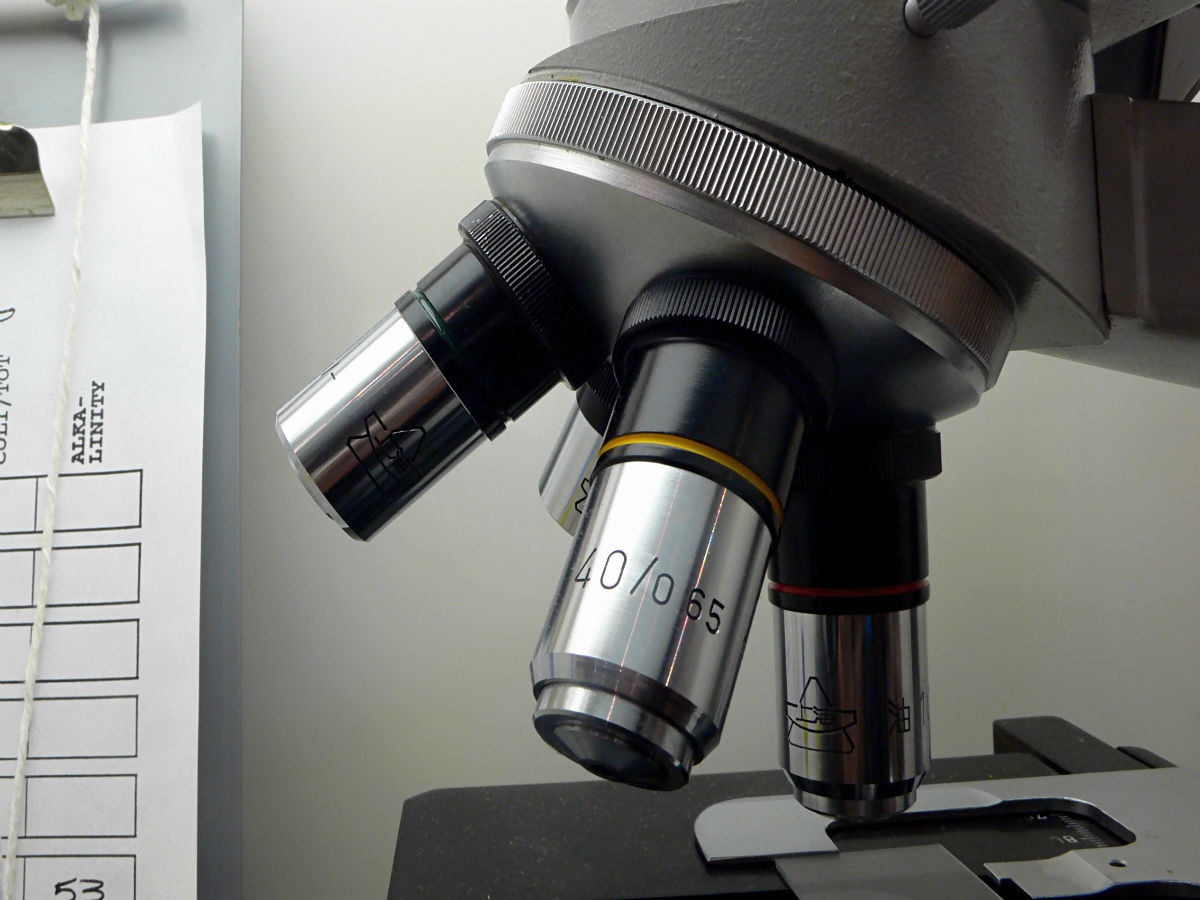 Limitar los experimentos genéticos con embriones.