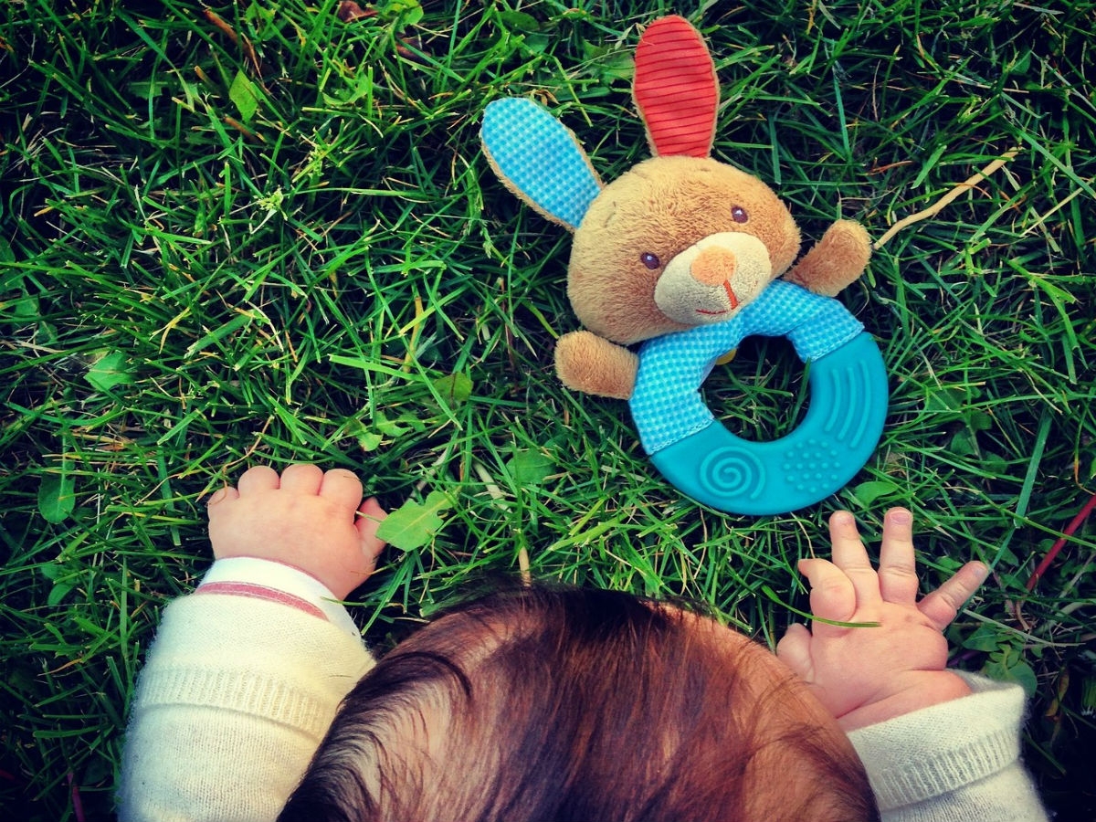 Le donatrici di ovuli in Spagna