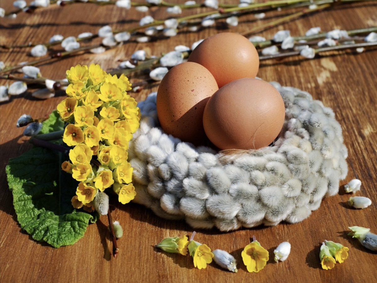 Adozione di embrioni per futuri genitori